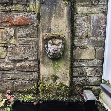 Wintergarten Fuer 8 Gaeste Und 2 Hunde In Der Eifel Mit Toller Aussicht, Kamin Und Garten Apartmán Schleiden