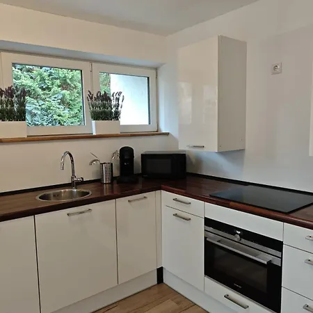 Apartmán Wintergarten Fuer 8 Gaeste Und 2 Hunde In Der Eifel Mit Toller Aussicht, Kamin Und Garten