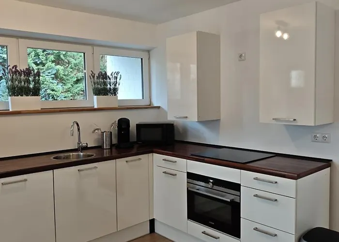 Wintergarten Fuer 8 Gaeste Und 2 Hunde In Der Eifel Mit Toller Aussicht, Kamin Und Garten