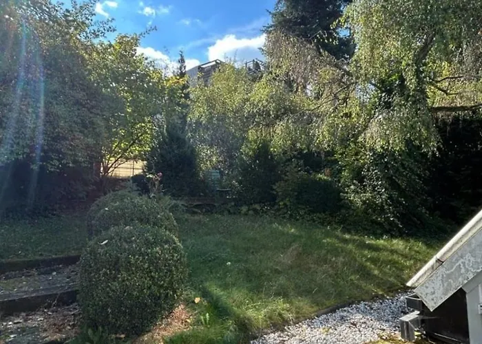 Lejlighed Wintergarten Fuer 8 Gaeste Und 2 Hunde In Der Eifel Mit Toller Aussicht, Kamin Und Garten