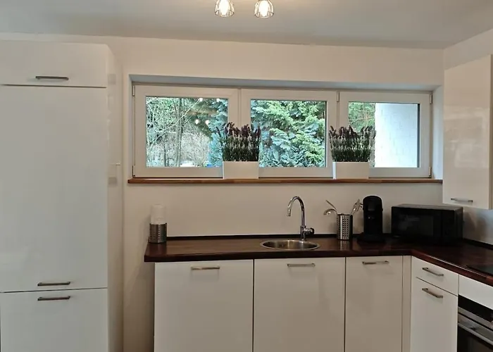 Wintergarten Fuer 8 Gaeste Und 2 Hunde In Der Eifel Mit Toller Aussicht, Kamin Und Garten Lejlighed Schleiden