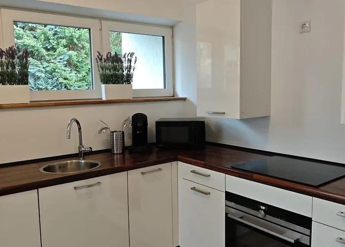 Lejlighed Wintergarten Fuer 8 Gaeste Und 2 Hunde In Der Eifel Mit Toller Aussicht, Kamin Und Garten